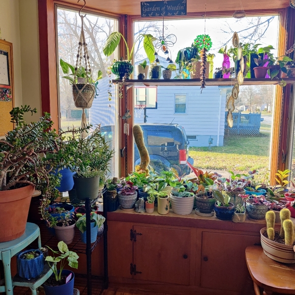 Meet your Posher, Beth - Picture 4 of 6